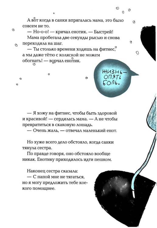Дополнительное изображение книги «Енот в музее»