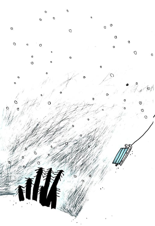 Дополнительное изображение книги «Енот в музее»