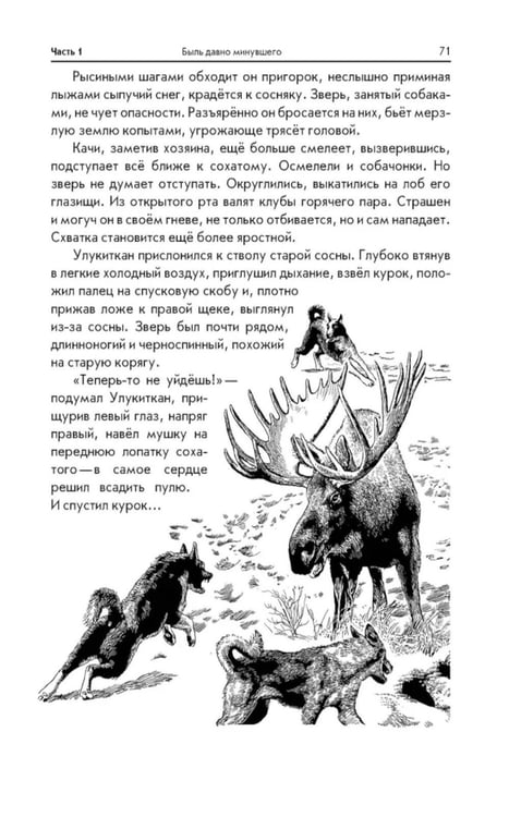 Дополнительное изображение книги «Последний костер: повесть»