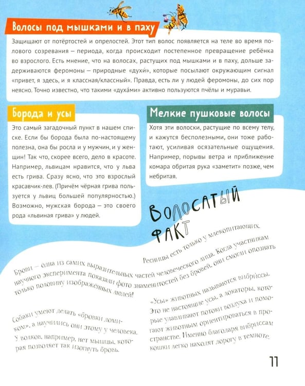 Дополнительное изображение книги «Волосатая энциклопедия»