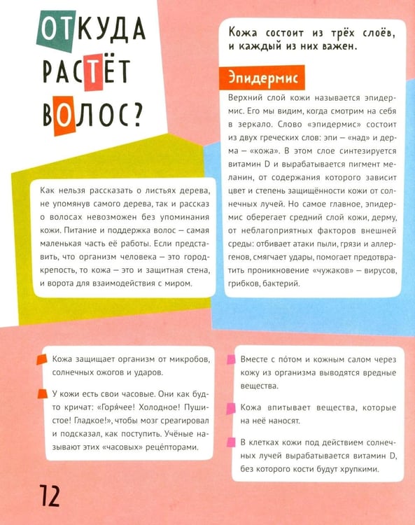 Дополнительное изображение книги «Волосатая энциклопедия»