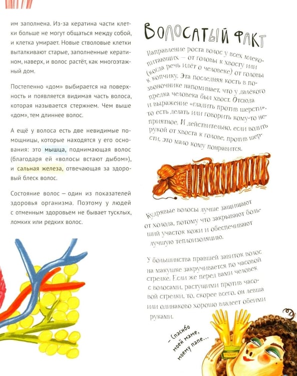 Дополнительное изображение книги «Волосатая энциклопедия»