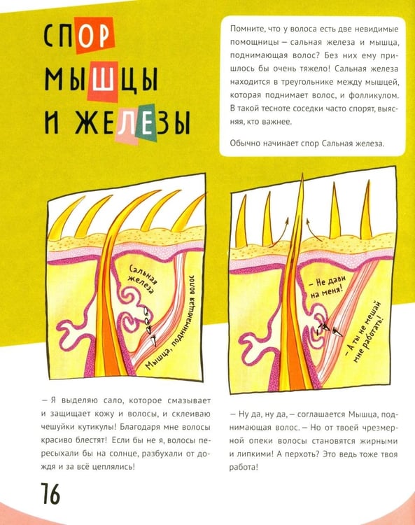 Дополнительное изображение книги «Волосатая энциклопедия»