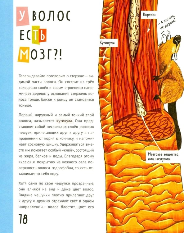 Дополнительное изображение книги «Волосатая энциклопедия»