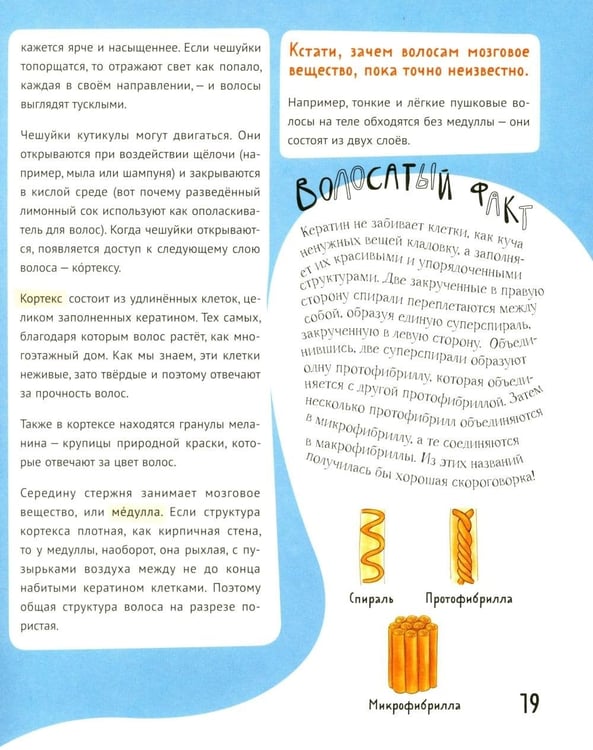 Дополнительное изображение книги «Волосатая энциклопедия»