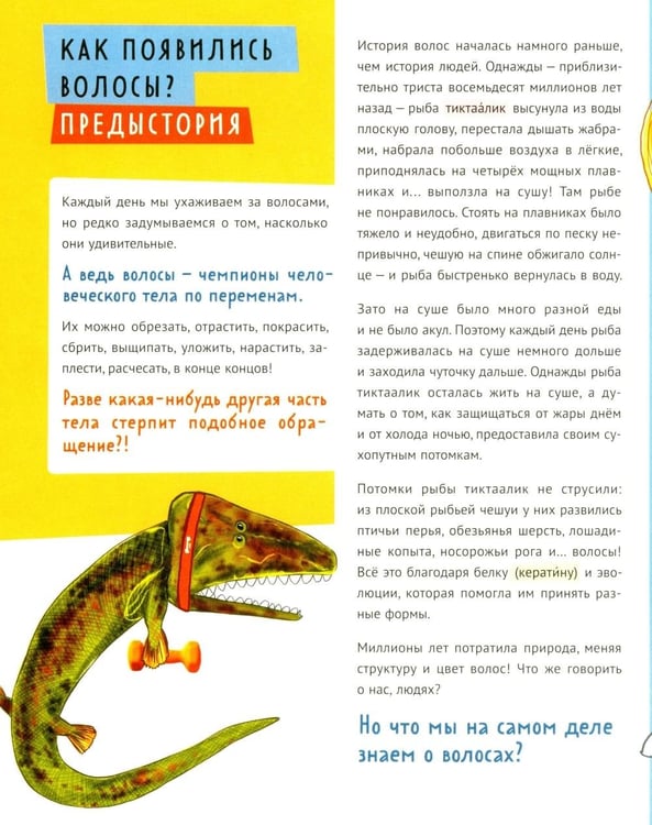 Дополнительное изображение книги «Волосатая энциклопедия»
