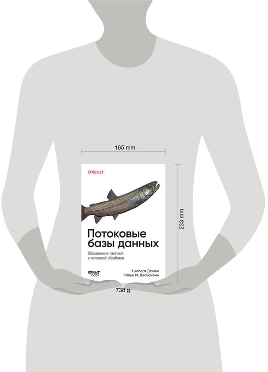 Дополнительное изображение книги «Потоковые базы данных»