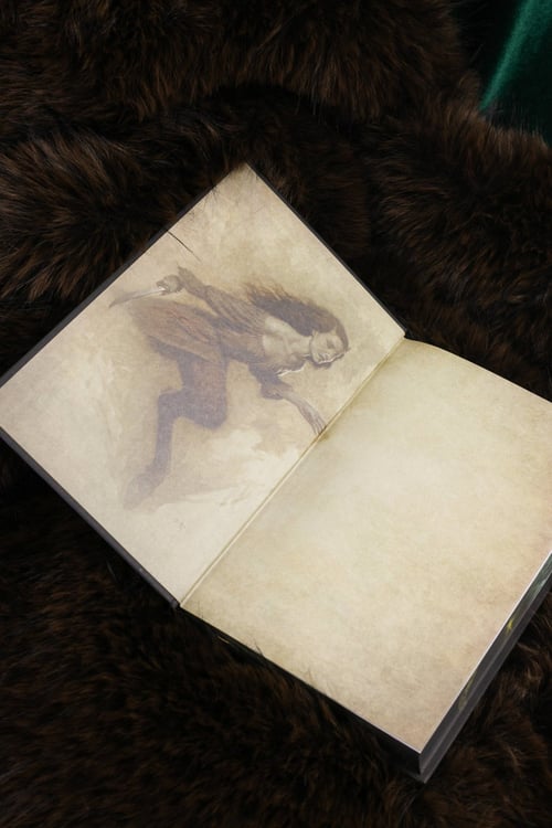 Дополнительное изображение книги «Косиног: История о колдовстве»