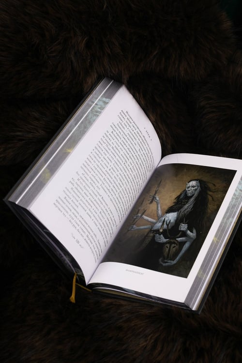 Дополнительное изображение книги «Косиног: История о колдовстве»