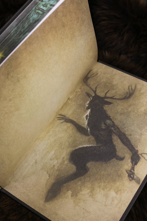 Дополнительное изображение книги «Косиног: История о колдовстве»
