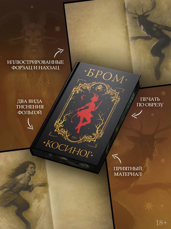 Дополнительное изображение книги «Косиног: История о колдовстве»