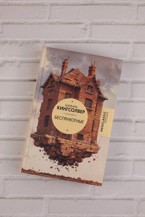 Дополнительное изображение книги «Бесприютные»