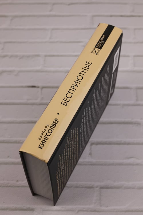 Дополнительное изображение книги «Бесприютные»
