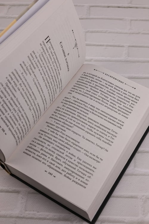 Дополнительное изображение книги «Бесприютные»