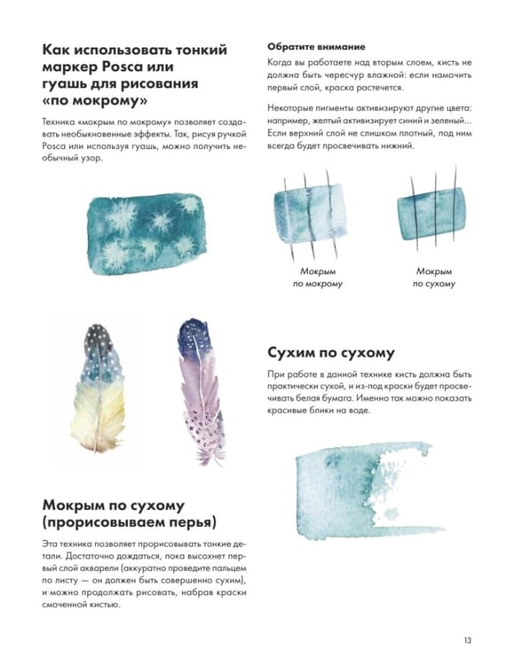 Дополнительное изображение книги «Рисуем акварелью: птицы леса и сада»