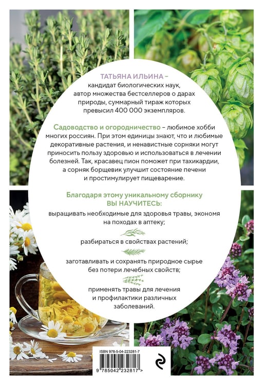 Дополнительное изображение книги «Аптечный огород. Справочник по сбору, хранению и применению целебных растений (новое оформление)»