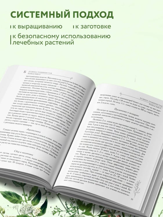 Дополнительное изображение книги «Аптечный огород. Справочник по сбору, хранению и применению целебных растений (новое оформление)»