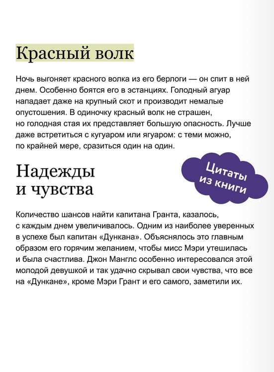Дополнительное изображение книги «Дети капитана Гранта. Том 1. Вечные истории. Young Adult»