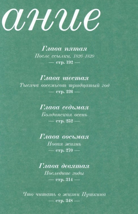 Дополнительное изображение книги «Александр Сергеевич Пушкин: биография писателя»