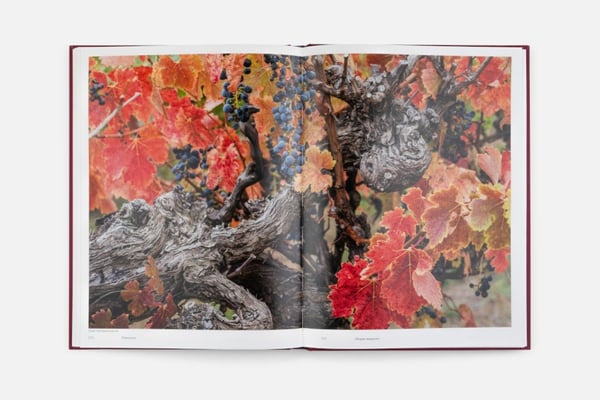 Дополнительное изображение книги «Винный Атлас России»