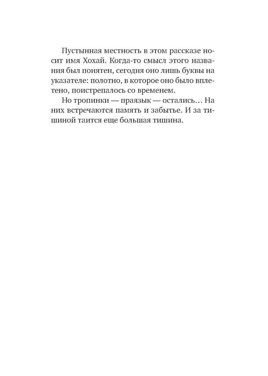 Дополнительное изображение книги «Серебряная Инна: роман»