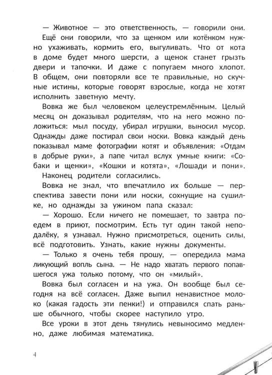 Дополнительное изображение книги «Дракон Ириска»
