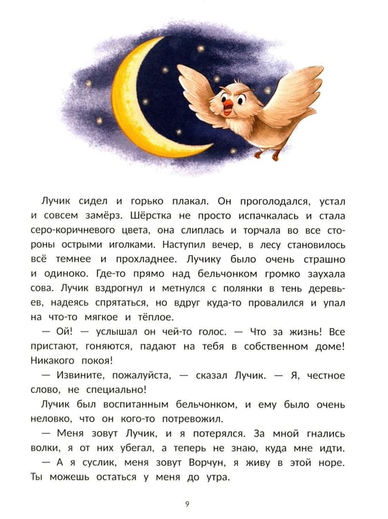 Дополнительное изображение книги «Лучик»