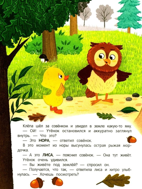 Дополнительное изображение книги «Уткенок в лесу!: книжка с наклейками»