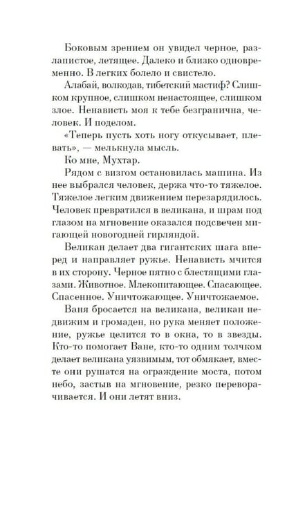 Дополнительное изображение книги «Собака Вера»