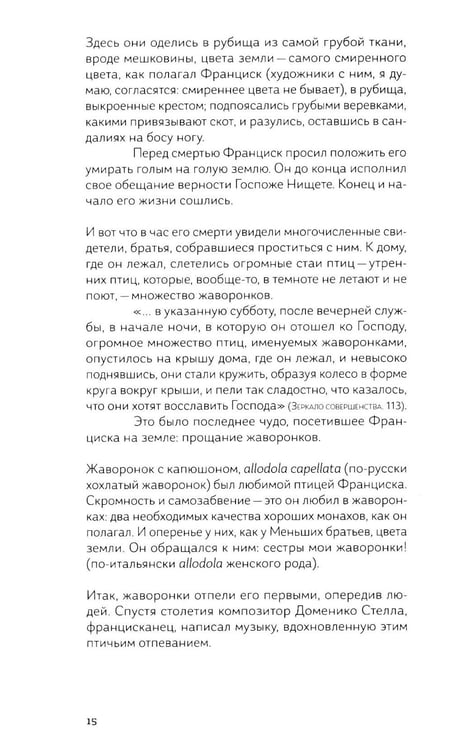 Дополнительное изображение книги «Франциск и его братья»