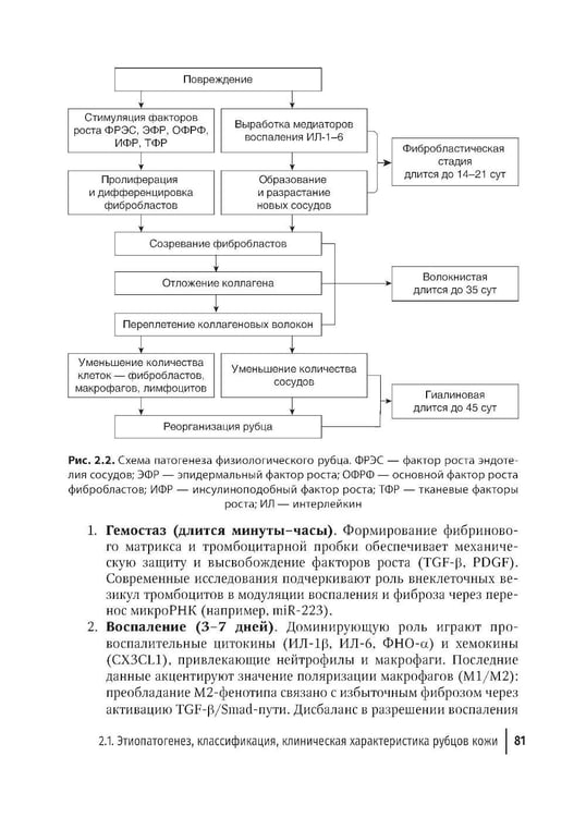 Дополнительное изображение книги «Дерматокосметология: руководство для врачей»