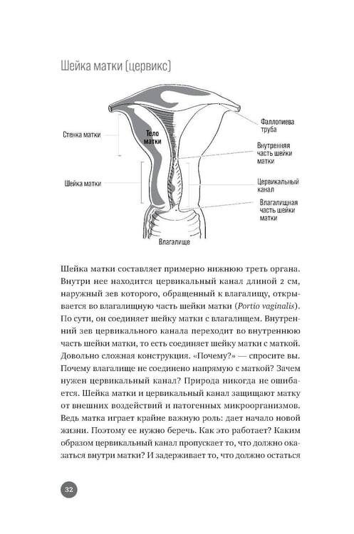 Дополнительное изображение книги «Ниже пояса: Открыто о прикрытом»