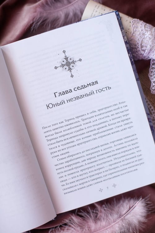 Дополнительное изображение книги «Она и зверь. Том 2»