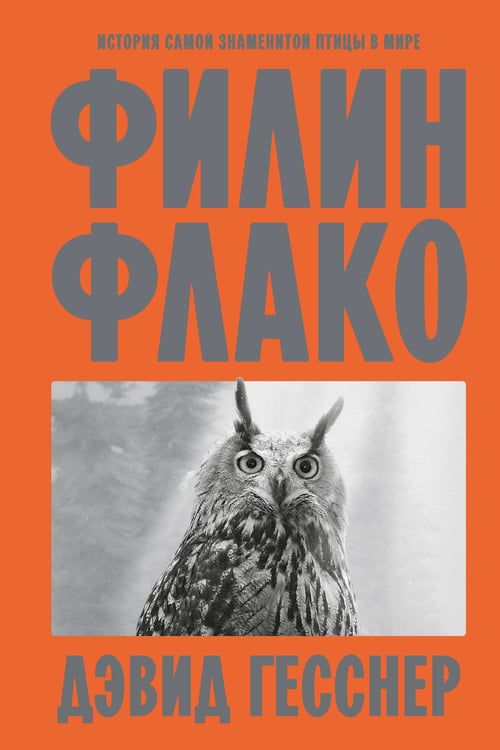 Обложка книги «Филин Флако: История самой знаменитой птицы в мире» — Гесснер Дэвид, ISBN 9785042270932