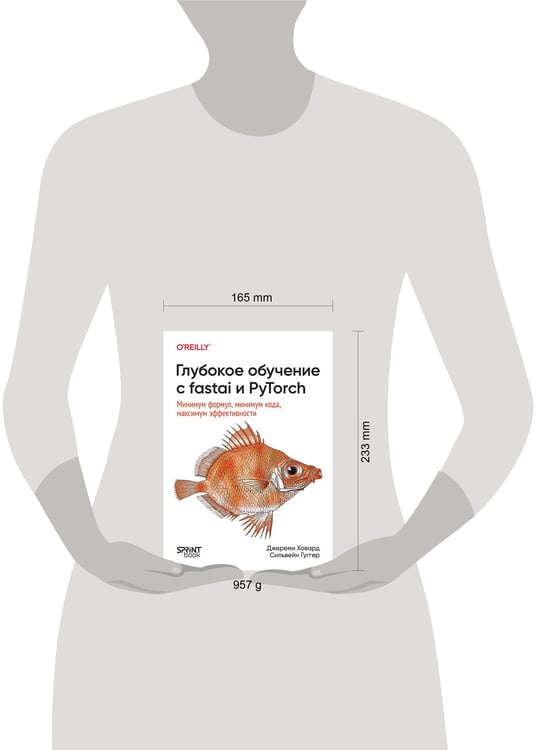 Дополнительное изображение книги «Глубокое обучение с fastai и PyTorch: минимум формул, минимум кода, максимум эффективности»