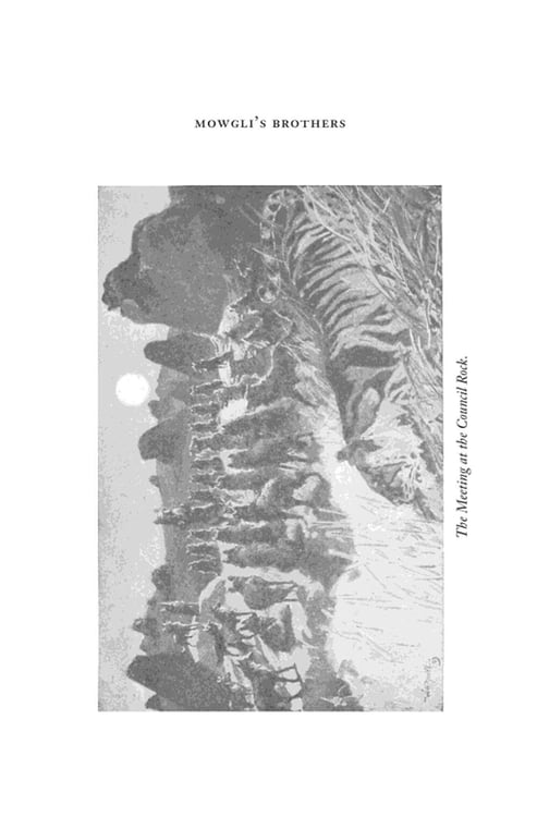 Дополнительное изображение книги «The Jungle Book & The Second Jungle Book»
