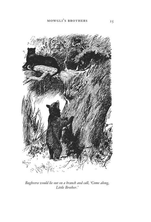 Дополнительное изображение книги «The Jungle Book & The Second Jungle Book»