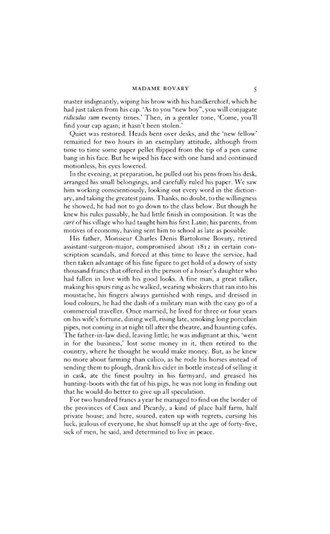 Дополнительное изображение книги «Madame Bovary»