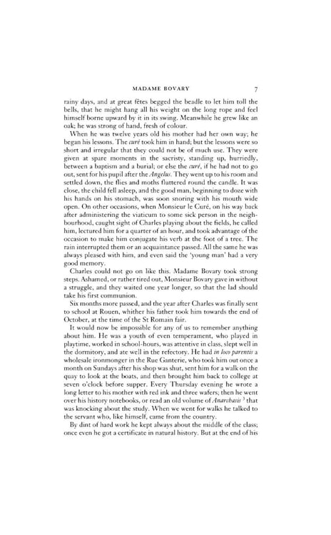 Дополнительное изображение книги «Madame Bovary»