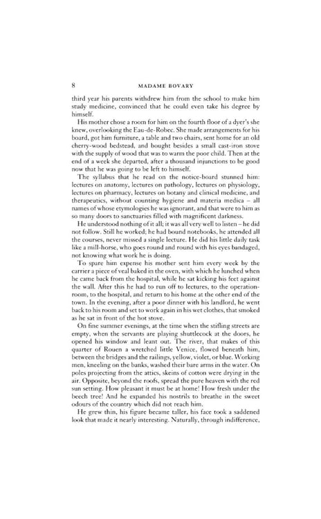 Дополнительное изображение книги «Madame Bovary»