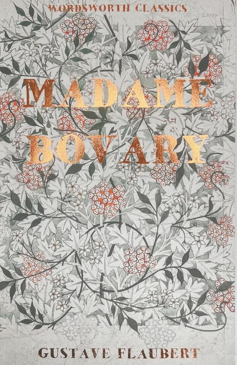 Дополнительное изображение книги «Madame Bovary»