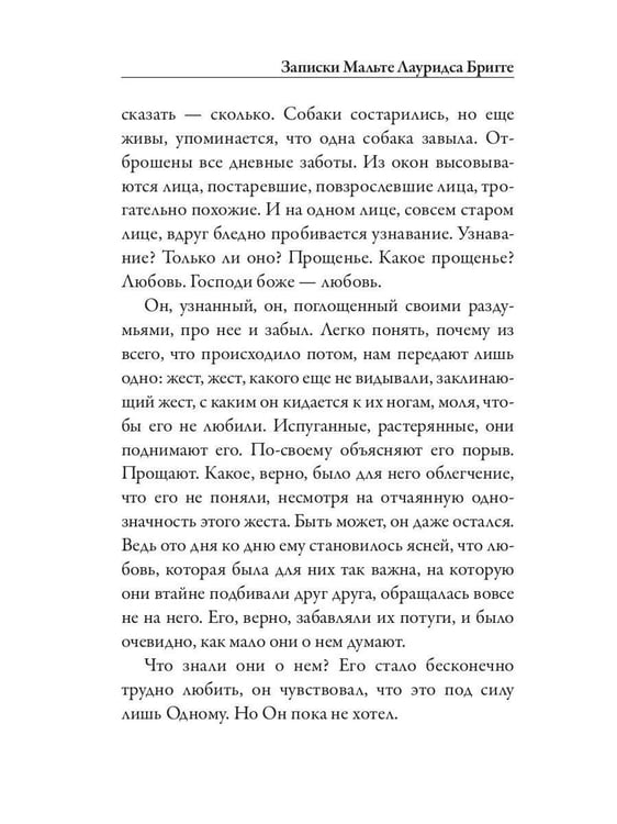 Дополнительное изображение книги «Записки Мальте Лауридса Бригге»