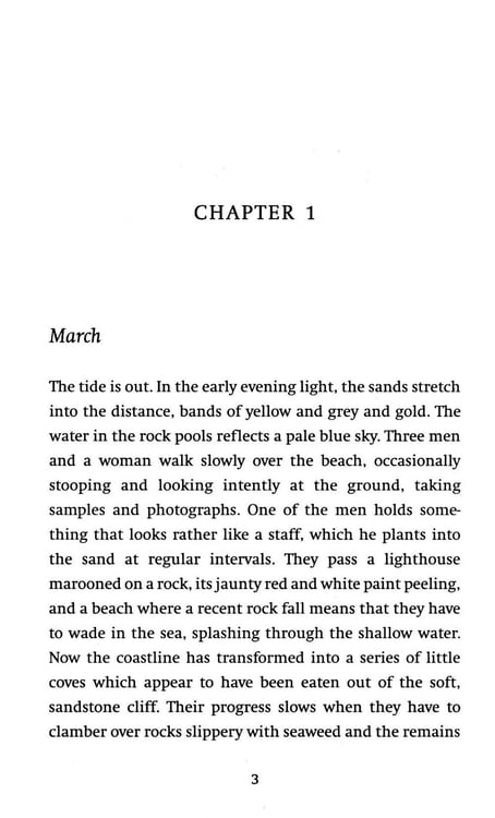Дополнительное изображение книги «The House at Sea's End»