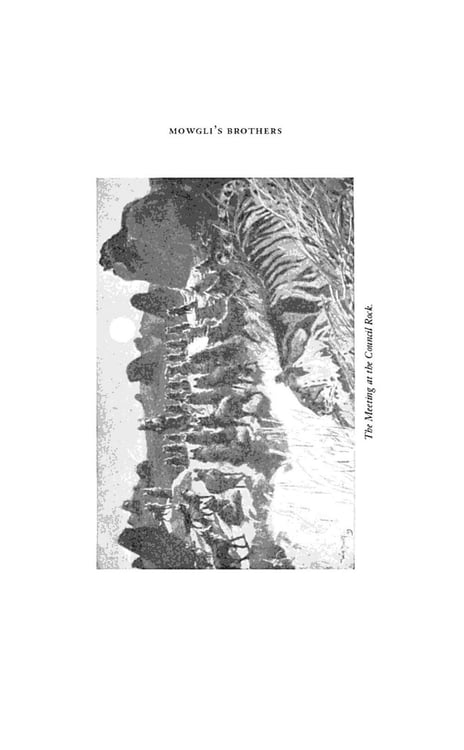 Дополнительное изображение книги «The Jungle Book & Second Jungle Book»
