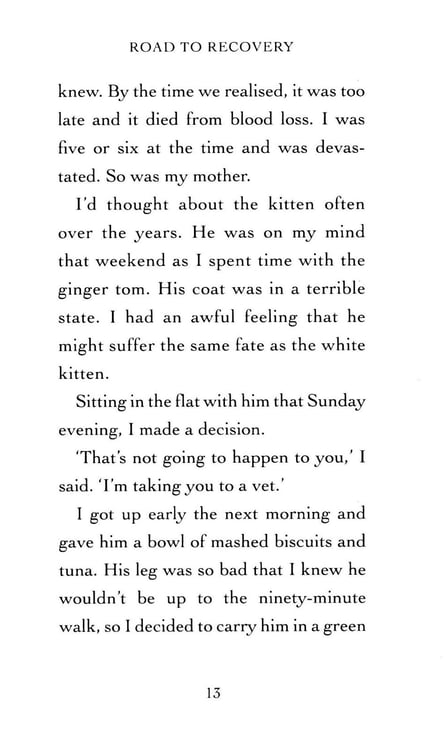 Дополнительное изображение книги «Bob. No Ordinary Cat»