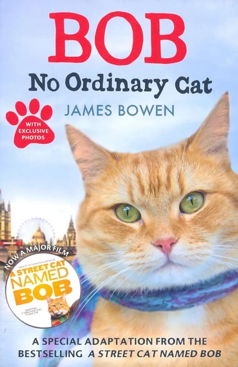 Обложка книги «Bob. No Ordinary Cat» — Боуэн Джеймс, ISBN 9781444764901