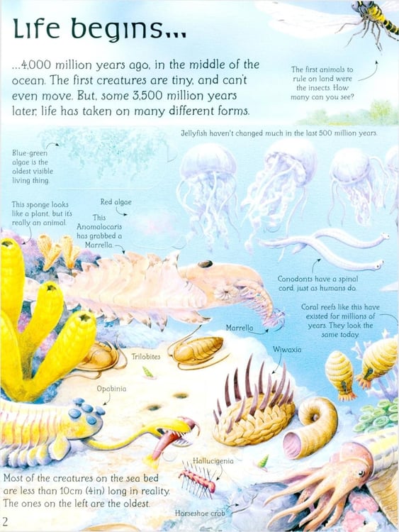 Дополнительное изображение книги «See Inside the World Of Dinosaurs»