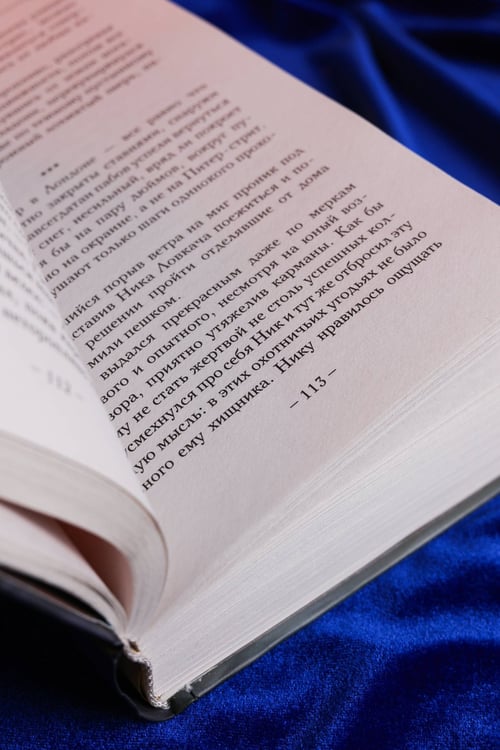 Дополнительное изображение книги «Адвокат вампира»