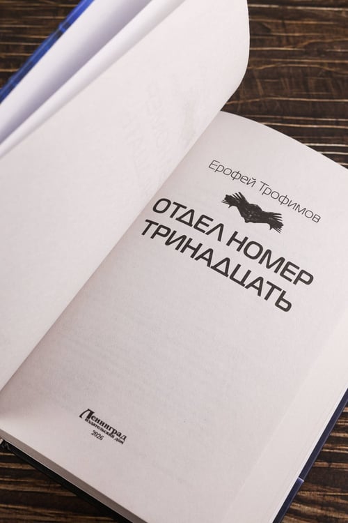 Дополнительное изображение книги «Отдел номер тринадцать»