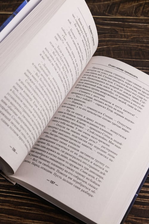 Дополнительное изображение книги «Отдел номер тринадцать»